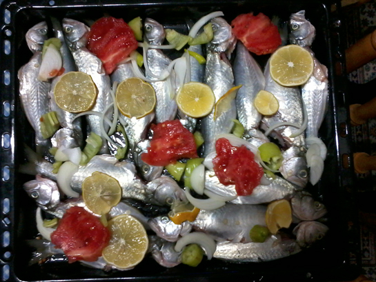 Fırında Çinekop Tarifi ve Malzemeleri